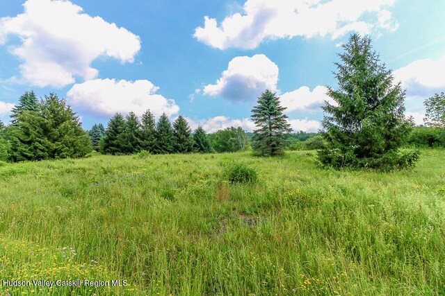 54 Mercer Mountain Rd, East Chatham, NY 12060 - photo 57