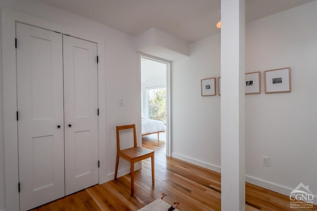 54 Mercer Mountain Rd, East Chatham, NY 12060 - hallway featuring wood finished floors and baseboards