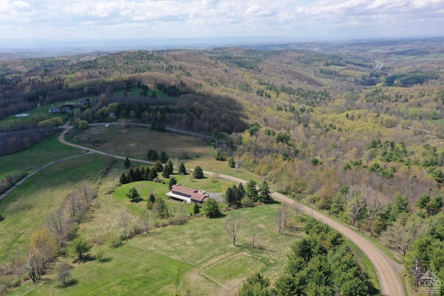 54 Mercer Mountain Rd, East Chatham, NY 12060 - photo 8