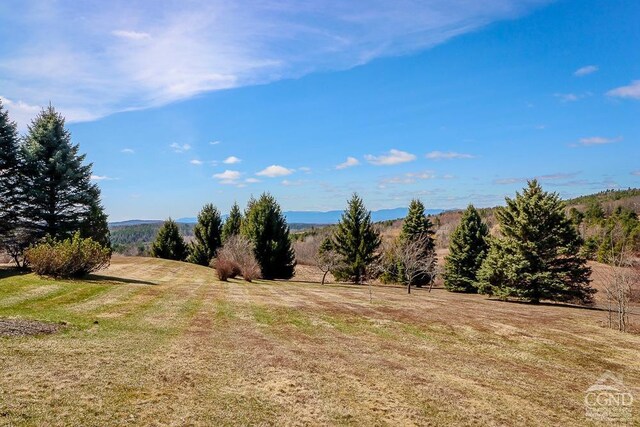 54 Mercer Mountain Rd, East Chatham, NY 12060 - photo 52