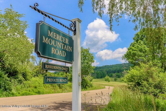 54 Mercer Mountain Rd, East Chatham, NY 12060 - photo 60