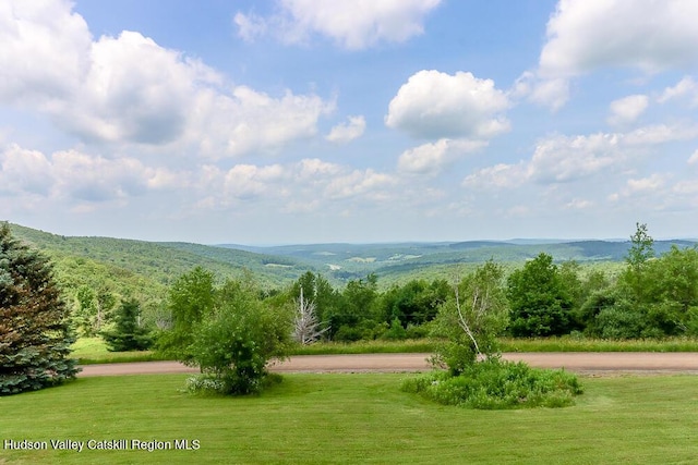 54 Mercer Mountain Rd, East Chatham, NY 12060 - photo 9