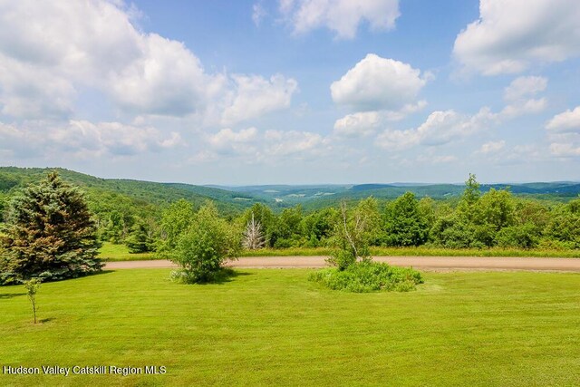 54 Mercer Mountain Rd, East Chatham, NY 12060 - photo 13