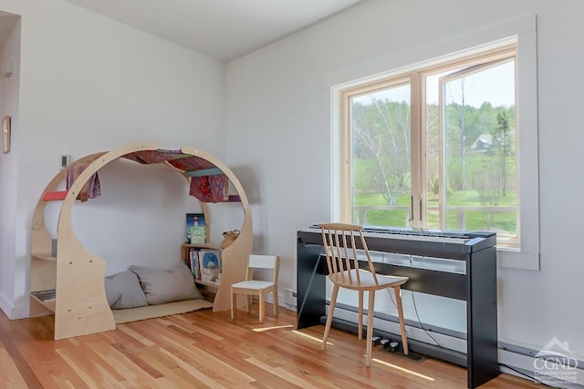 54 Mercer Mountain Rd, East Chatham, NY 12060 - bedroom with wood finished floors and a baseboard heating unit