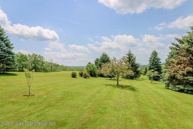 54 Mercer Mountain Rd, East Chatham, NY 12060 - photo 59