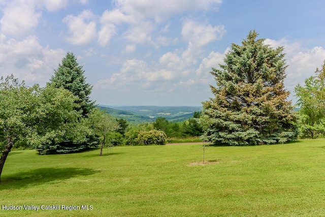 54 Mercer Mountain Rd, East Chatham, NY 12060 - photo 66