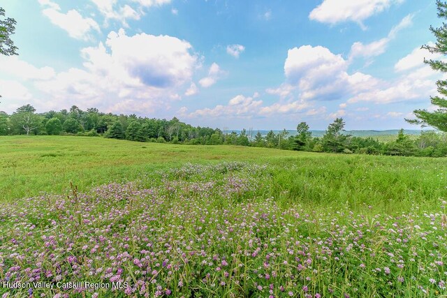 54 Mercer Mountain Rd, East Chatham, NY 12060 - photo 58