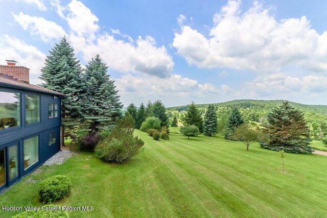 54 Mercer Mountain Rd, East Chatham, NY 12060 - photo 68