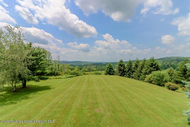 54 Mercer Mountain Rd, East Chatham, NY 12060 - photo 67