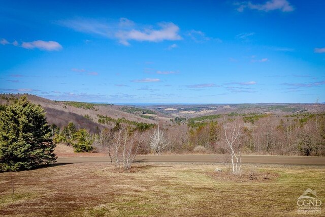 54 Mercer Mountain Rd, East Chatham, NY 12060 - water view