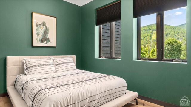 7717 Main St, Hunter, NY 12442 - bedroom with baseboards, wood finished floors, and a mountain view