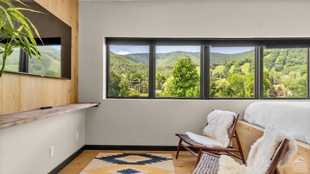 7717 Main St, Hunter, NY 12442 - living area with wood finished floors, baseboards, and a mountain view