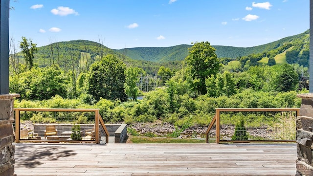 7717 Main St, Hunter, NY 12442 - view of mountain backdrop