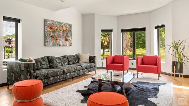 7717 Main St, Hunter, NY 12442 - living room with wood finished floors and baseboards