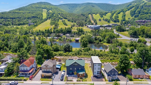 7717 Main St, Hunter, NY 12442 - drone / aerial view of a water and mountain view
