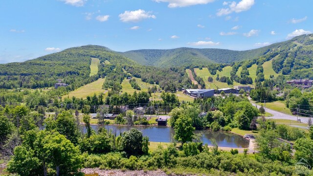 7717 Main St, Hunter, NY 12442 - view of mountain backdrop featuring a nearby body of water