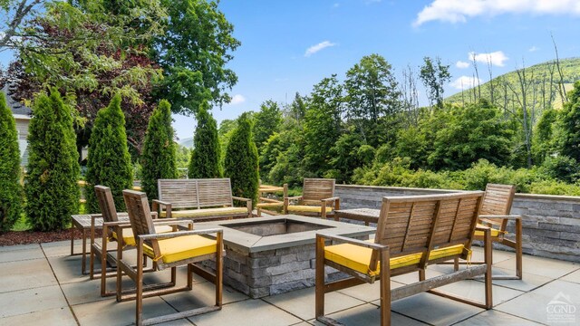 7717 Main St, Hunter, NY 12442 - view of patio / terrace featuring a fire pit and a forest view