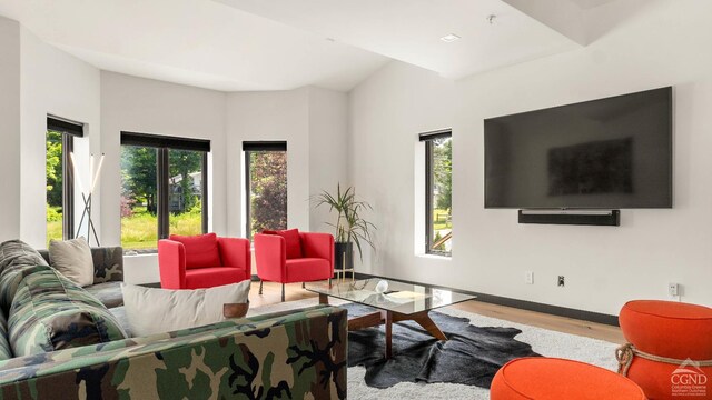 7717 Main St, Hunter, NY 12442 - living room featuring wood finished floors and baseboards