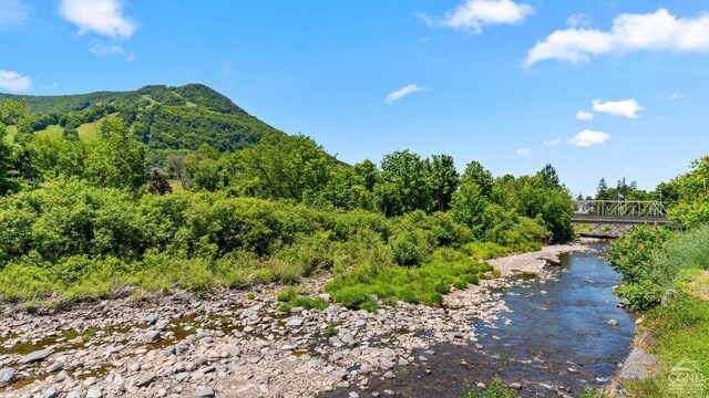 7717 Main St, Hunter, NY 12442 - view of mountain backdrop