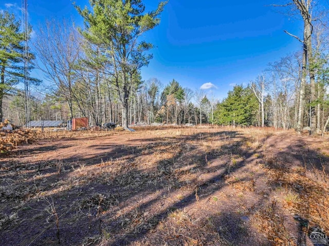 354 Merwin St, Jewett, NY 12444 - photo 66