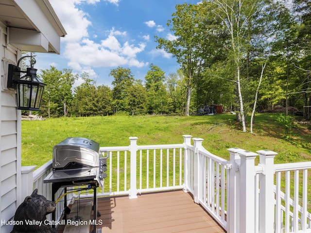 354 Merwin St, Jewett, NY 12444 - photo 30