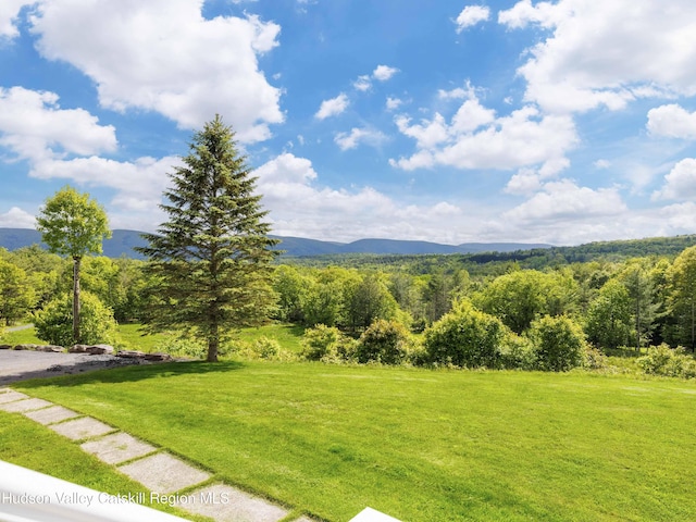 354 Merwin St, Jewett, NY 12444 - photo 6