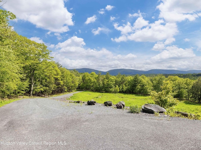 354 Merwin St, Jewett, NY 12444 - photo 5