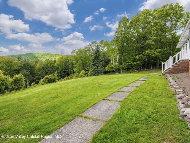 354 Merwin St, Jewett, NY 12444 - photo 63