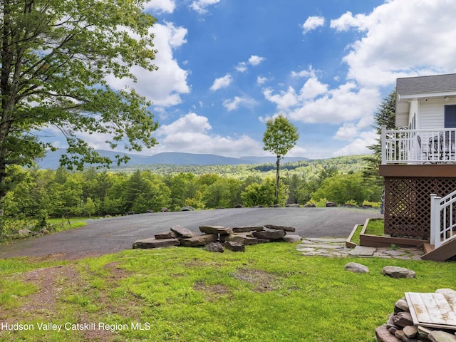 354 Merwin St, Jewett, NY 12444 - photo 8