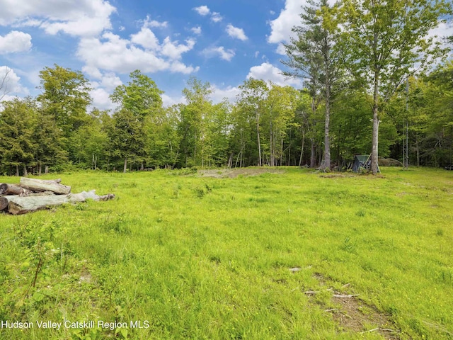 354 Merwin St, Jewett, NY 12444 - photo 65