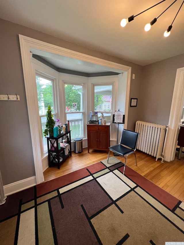 3652 Rte 67, Freehold, NY 12431 - sitting room featuring light wood-type flooring and radiator heating unit