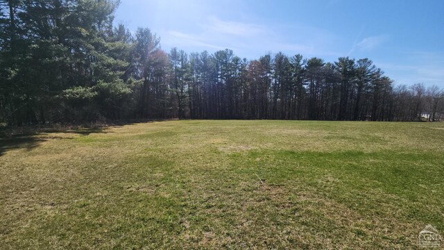 76 Gibson Rd, Durham, NY 12423 - view of green lawn featuring a wooded view