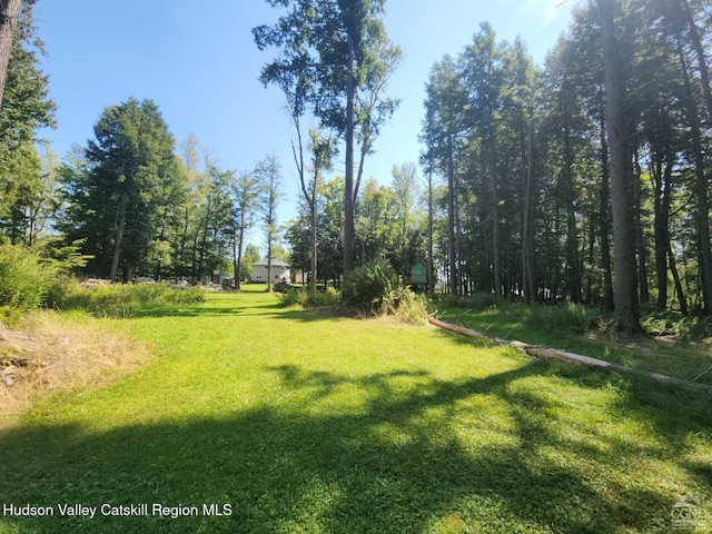 215 Siam Rd, Windham, NY 12496 - photo 4