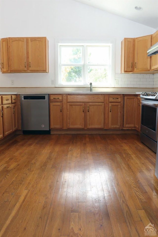 147 Skyview, Greenville, NY 12083 - kitchen featuring stainless steel appliances, dark wood-style flooring, lofted ceiling, and light countertops