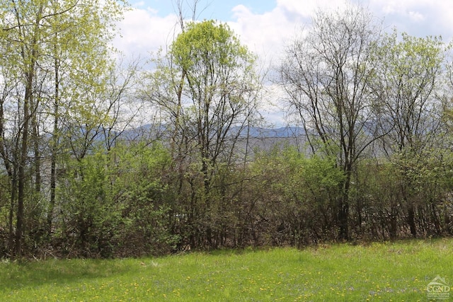 147 Skyview, Greenville, NY 12083 - view of undeveloped land