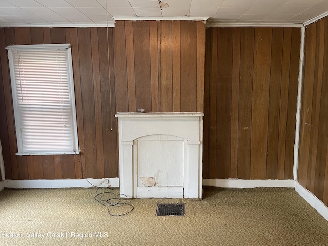 63 Gill St, Kingston, NY 12401 - unfurnished living room featuring wood walls, carpet flooring, baseboards, and a fireplace