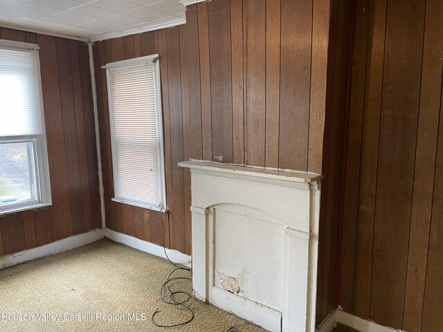 63 Gill St, Kingston, NY 12401 - unfurnished living room with wood walls, light colored carpet, and baseboards