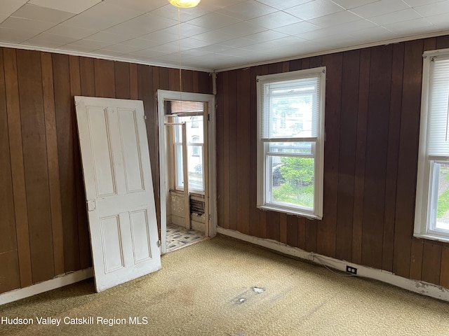 63 Gill St, Kingston, NY 12401 - carpeted empty room featuring wooden walls and baseboards