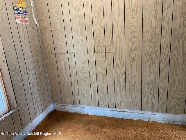 63 Gill St, Kingston, NY 12401 - detailed view of baseboards, wood walls, and carpet