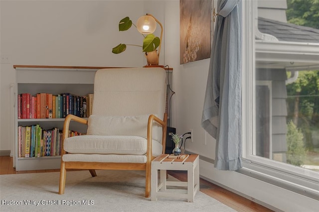 172 Roosevelt Rd, Hyde Park, NY 12538 - photo 9