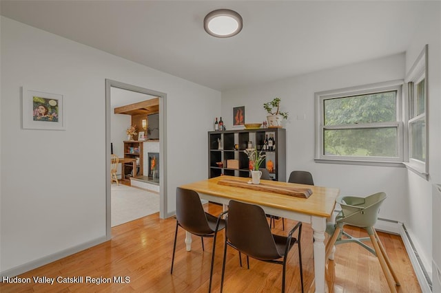 172 Roosevelt Rd, Hyde Park, NY 12538 - photo 12