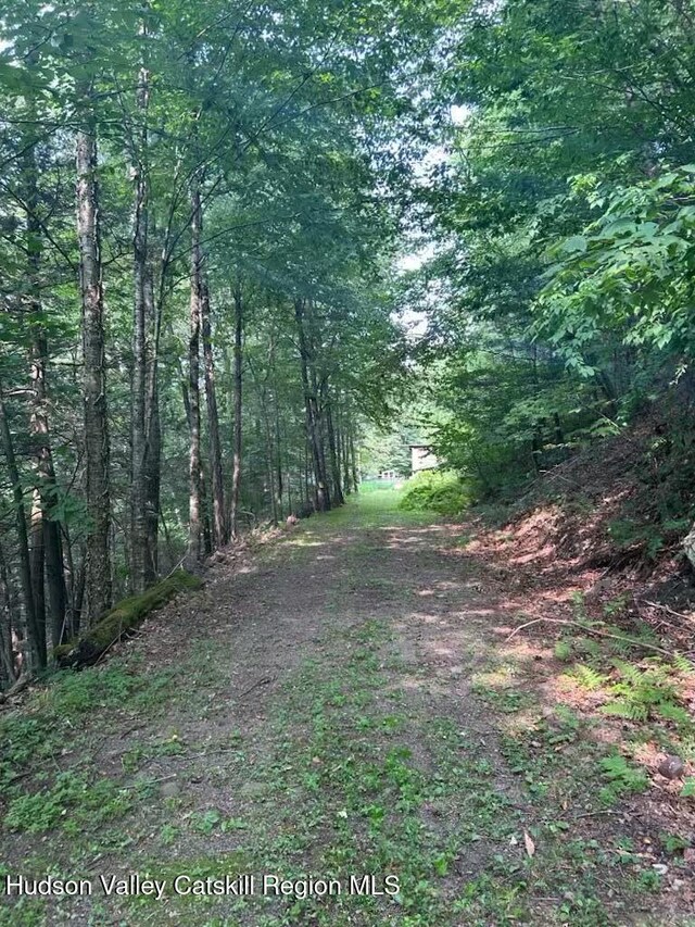 Tbd Railroad, Lanesville, NY 12450 - photo 8