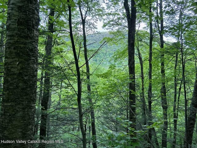 Tbd Railroad, Lanesville, NY 12450 - photo 10