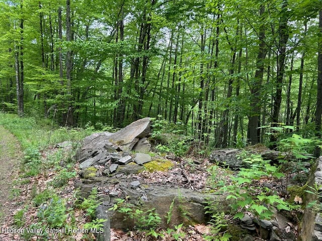 Tbd Railroad, Lanesville, NY 12450 - photo 2