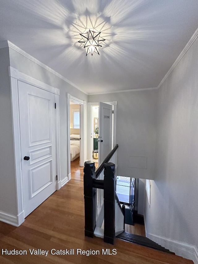 hall with hardwood / wood-style flooring, plenty of natural light, and crown molding