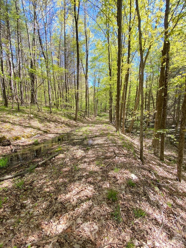 48 Lundy Ln, Chatham, NY 12136