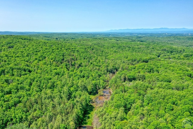 48 Lundy Ln, Chatham, NY 12136