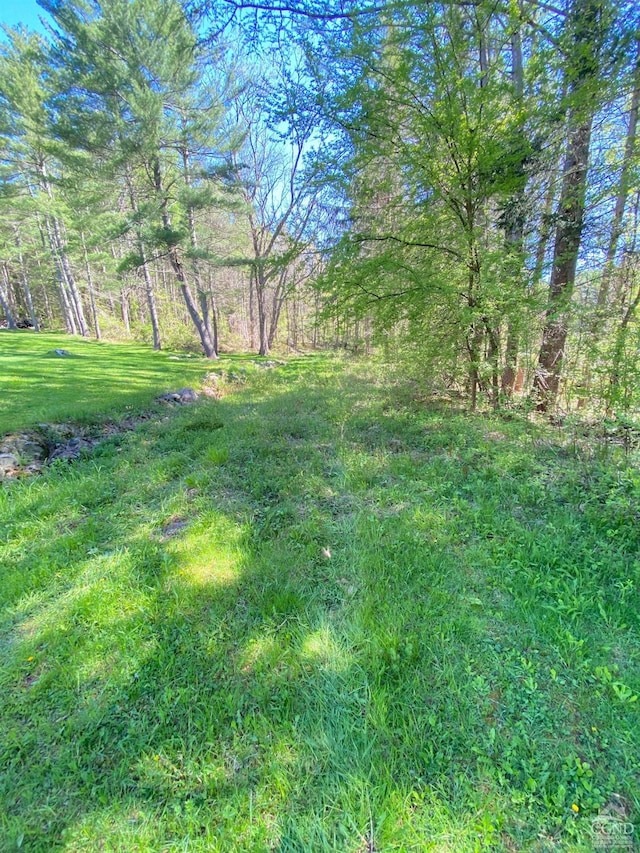 48 Lundy Ln, Chatham, NY 12136