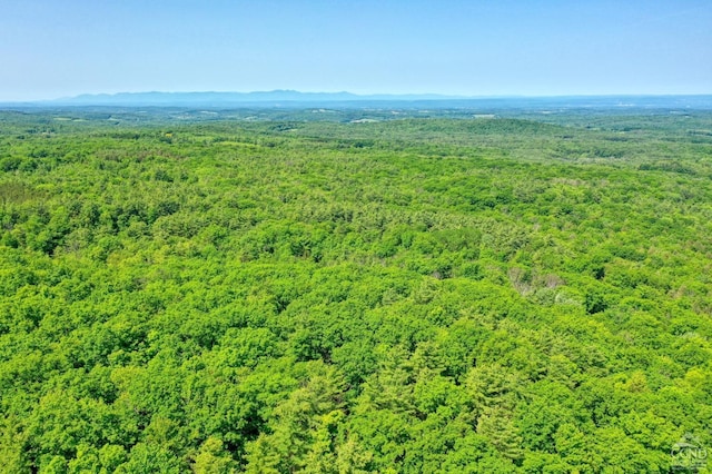 48 Lundy Ln, Chatham, NY 12136