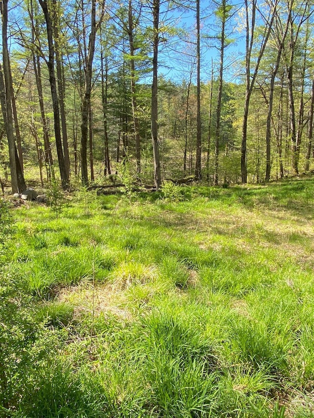 48 Lundy Ln, Chatham, NY 12136